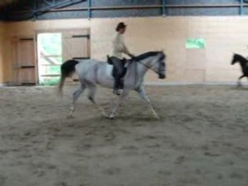 Violaine et Said » À VENDRE