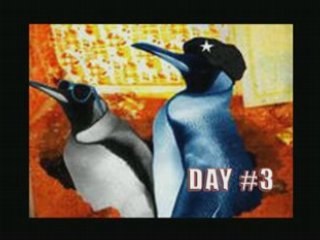 Festival fifi day 03 day 2008