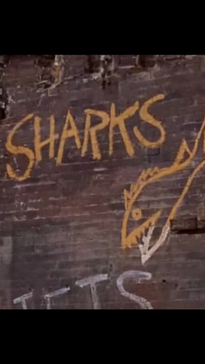Future Clue That Steven Spielberg Would Re-Adapt West Side Story (1961)? "SHARKS" Graffiti & Jaws