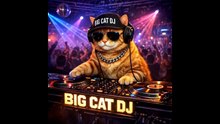 The Real MIX BIG CAT DJ