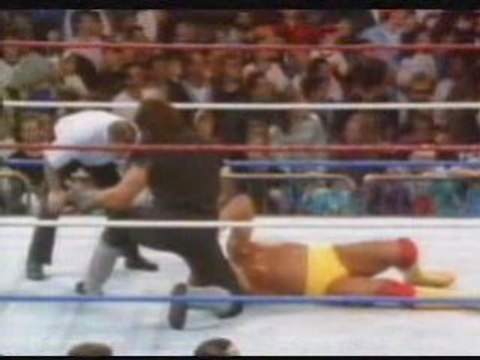 WWF - Survivor Series 1991 - Hulk Hogan vs The Undertaker