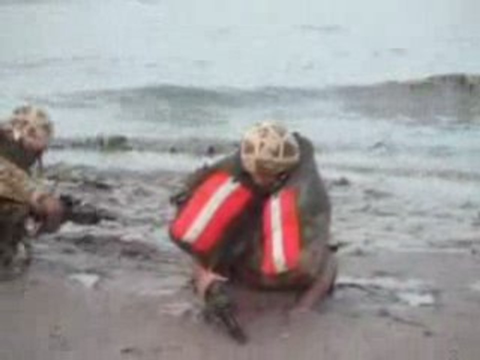 D day or Jour J, revue et corrigé par nos amis belges
