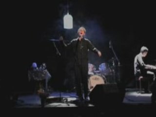 Pipo (Faut sortir le chien)