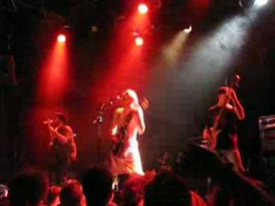 Tasmaniac tout le monde