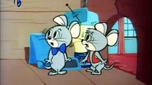 Pixie, Dixie y el gato Jinks - La lección de judo (Español Latino)