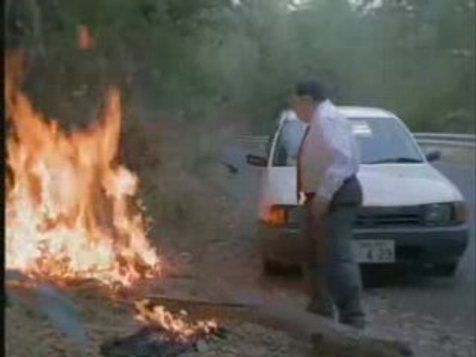 Forest Fire