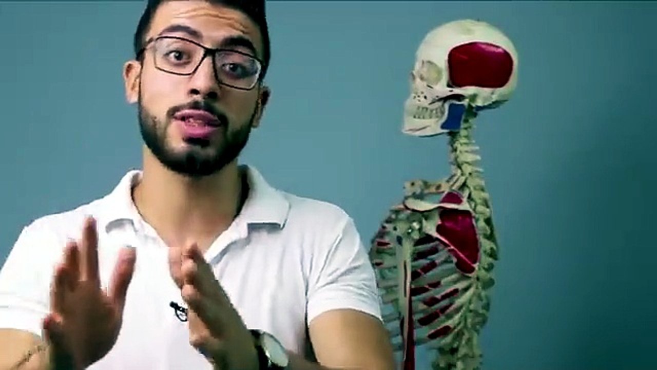 ليه الم اسفل الظهر عندك متكرر ومش بيخف ؟! 🤔 _ الأسباب والعلاج النهائى ب 3 تمارين مضمونة 💯