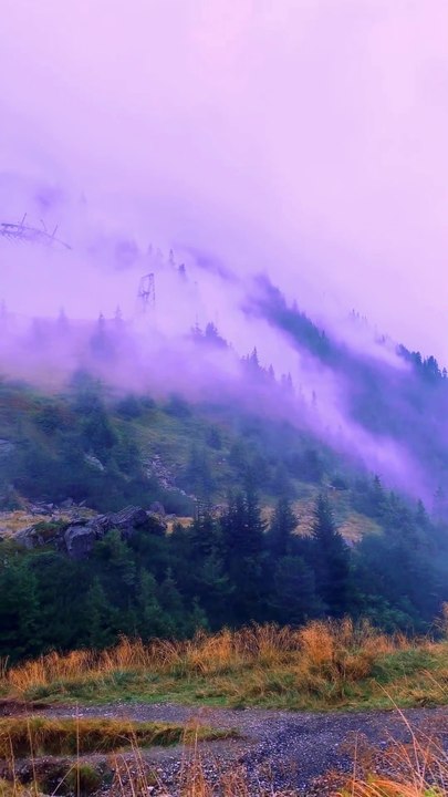 Silk Road to Valhalla | Viking Music Meets Ancient China