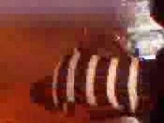 sefyu bataclan 13 06 2008