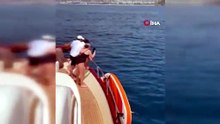 Alanya sahillerinde yunus sürprizi! Turistler hayranlıkla izledi