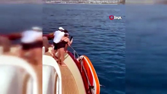 Alanya sahillerinde yunus sürprizi! Turistler hayranlıkla izledi