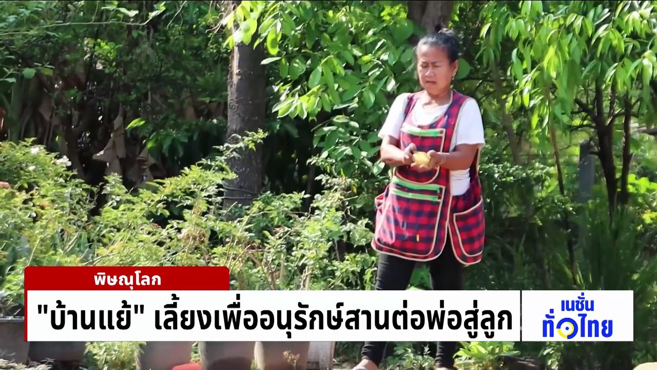 เปิดฤดูกาล “ทุเรียนสาลิกา” ของดีพังงา | เนชั่นทั่วไทย | 13 พ.ค. 69 | PART 3