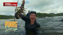 Kara David, lumusong sa dagat ng Catanduanes para manghuli ng lobster! | Pinas Sarap