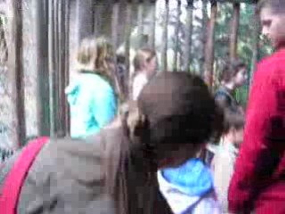 Europapark vidéo 1