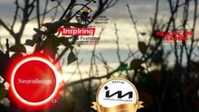 Mihaela Pleșca' Awards and Juror Titles on the Shining Mountain of Success