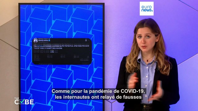 Intox, rumeurs sur Israël : démêler les complots viraux sur le hantavirus