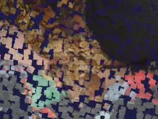 Rat Attacks: What You Need to Know