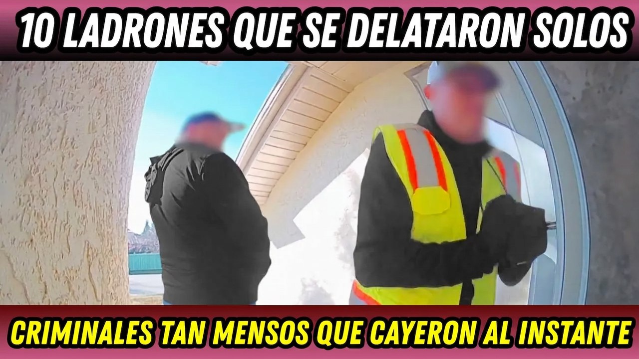 10 ladrones que se delataron solos y terminaron atrapados por la policía