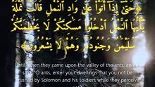 سورة النمل | آيات 18-19 | Surah An-Naml 27:18-19 | تلاوة خاشعة تريح القلب