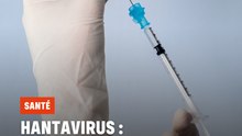 Hantavirus : faut-il s’inquiéter de l’absence de vaccin ?