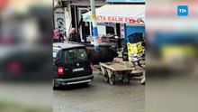 Kaçan mandanın boynuz darbeleriyle yaralandı