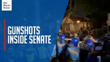 Dela Rosa supporters rush to Senate gates after gunshots heard