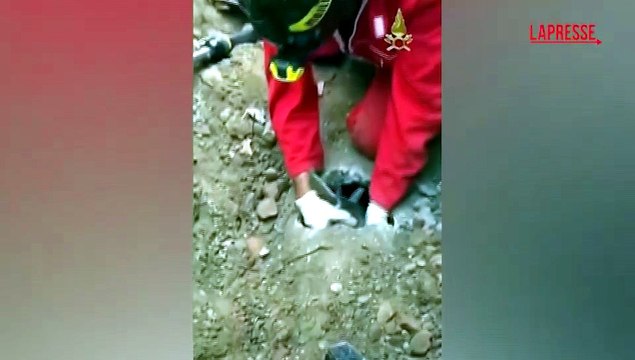 Brescia, capretta intrappolata in tubo fognario: il salvataggio a lieto fine dei vigili del fuoco