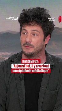 Hantavirus C'est surtout une épidémie médiatique