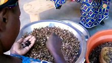 Région-Daloa /Université de Daloa : une étudiante développe un nouveau Soumbara à base de soja et de pois bambara
