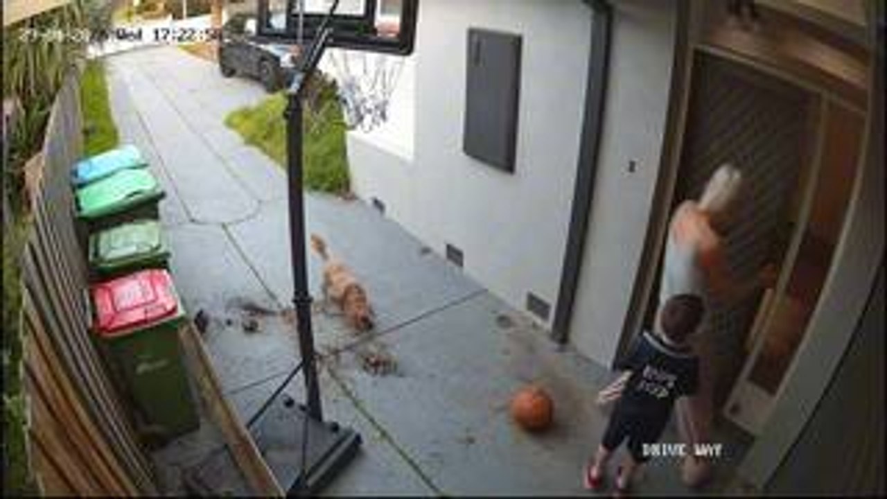 Pole Falls on Woman While She Moves Basketball Hoop