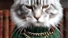 Si mon chat pouvait parler : petit à petit, l’oiseau fait son nid
