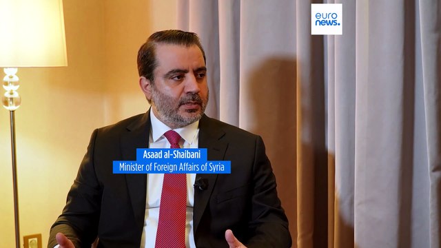 Syria needs 'comprehensive security agreement' with Israel, foreign minister tells Euronews