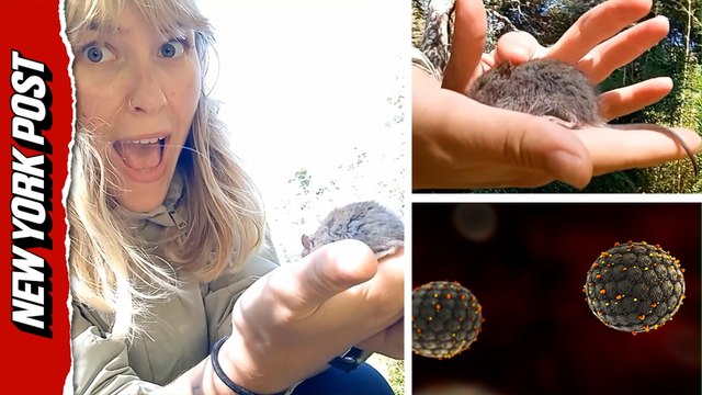 Young Hiker Slammed for Picking Up Rodent in Hantavirus Hotspot