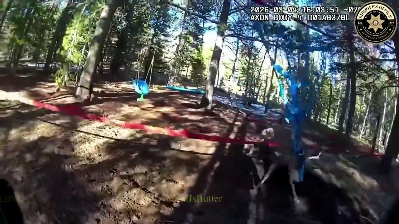 Ils sauvent un cerf piégé dans une slackline : intervention risquée