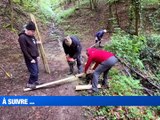 10 ans apr&egrave;s, la travers&eacute;e pour Ma&eacute; prend de nouveau la route vers Toulouse / Le coll&egrave;ge Jacques Brel &agrave; Chazelles-sur-Lyon fait peau neuve / La marche de la paix traverse la Loire pour rejoindre Lausanne