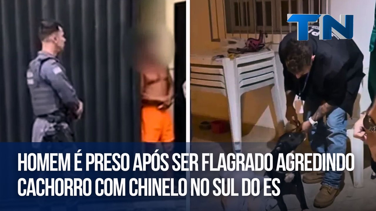 Homem é preso após ser flagrado agredindo cachorro com chinelo no Sul do ES
