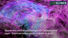 What Does Exercise Do To Your Brain?