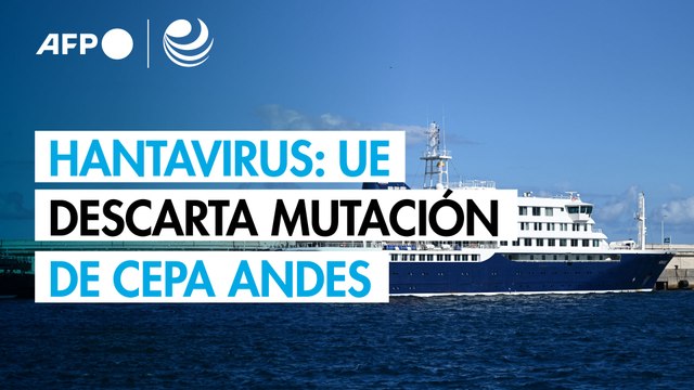 Nada indica que la cepa Andes del hantavirus haya mutado, estima agencia sanitaria de la UE
