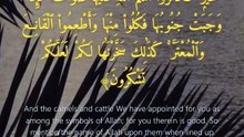 سورة الحج | آيات 35-37 | Surah Al-Hajj 22:35-37 | تلاوة خاشعة تبعث الطمأنينة