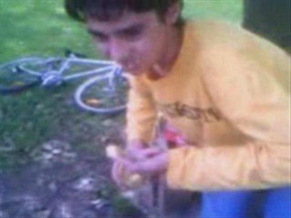Moutarde
