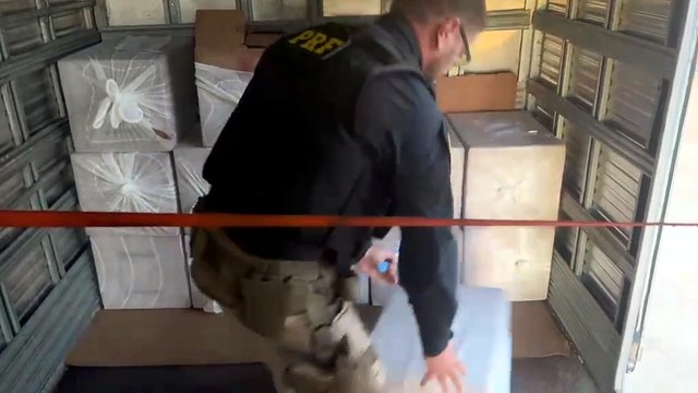 PRF apreende 7 mil maços de cigarros contrabandeados na Estrada Boiadeira; com vídeo