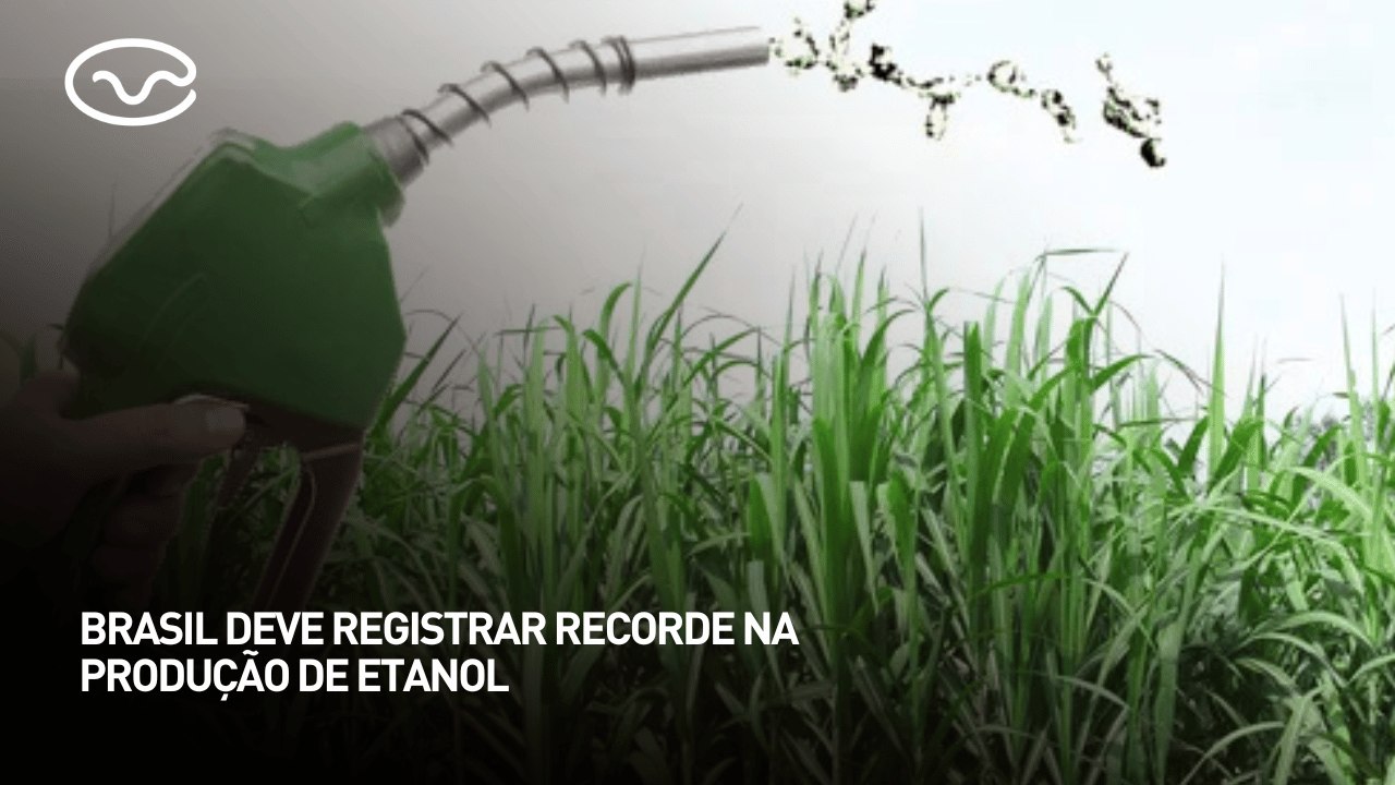 Brasil deve registrar recorde na produção de etanol