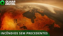 El Niño iminente pode tornar 2026 o ano mais extremo para incêndios florestais