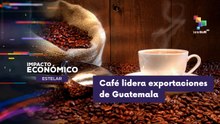 IMPACTO ECONÓMICO ESTELAR | Café de Guatemala liderá exportaciones del país 13-05-2026