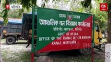 ৰাজহ ফাঁকি দি মৰিগাঁৱত বালিৰ অবৈধ বেহা, বন বিভাগৰ অভিযানত জব্দ বালি ভৰ্তি ডাম্পাৰ