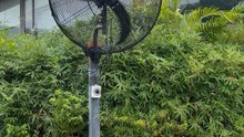Mingletec 26 30 inch BLDC industrial wall mounted fan, energy saving 40%-80% #mingletec#BLDC#industrialfan#wallfan#energysaving