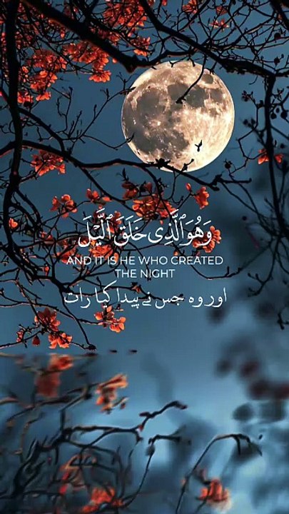 Quran rectiation  allah islamic short video believe beauty truth viral trending