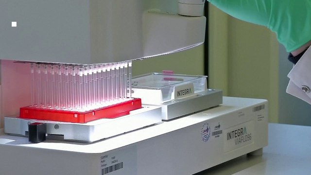 Vaccins/traitements contre l'hantavirus : où en est la recherche ?