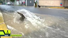 Megafuga en Iztapalapa desperdició 9 millones de litros de agua potable