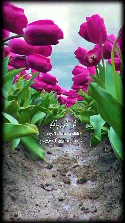 Beautiful Recitation of the Quran